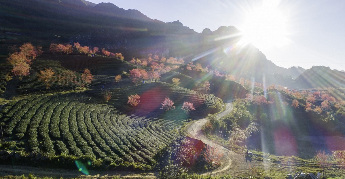 Northwest Spring Journey